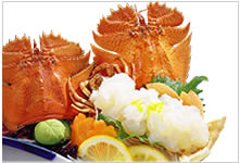 กุ้งอุจิวะเอบิ (Slipper lobster)