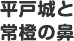 平戸城と常橙の鼻