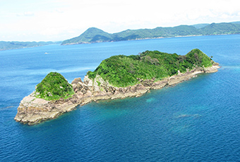元和・寛永の弾圧