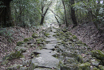安満岳へ上る登山道