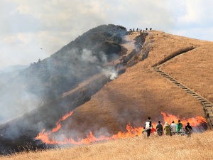 川内峠野焼き
