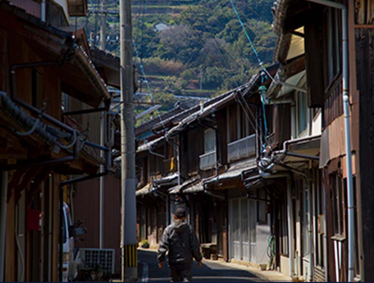 大島・度島SP画像