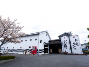 福田酒造(平戸南部)