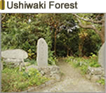Ushiwaki Forest