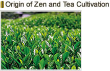 Origin of Zen and Tea Cultivation