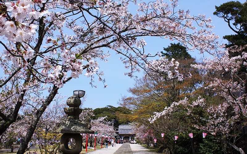 亀岡神社亀岡公園