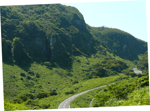 生月サンセットウェイの山道