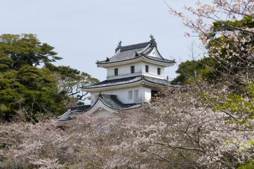 平戸城と桜２