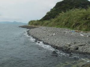 戸田海水浴場の写真