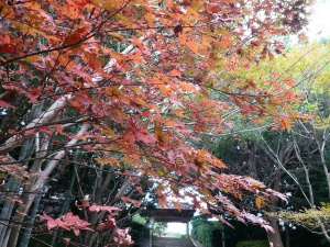 雄香寺（雄香寺開山堂）2