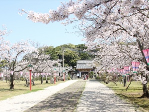 亀岡公園